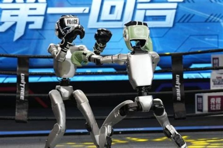 bots fighting