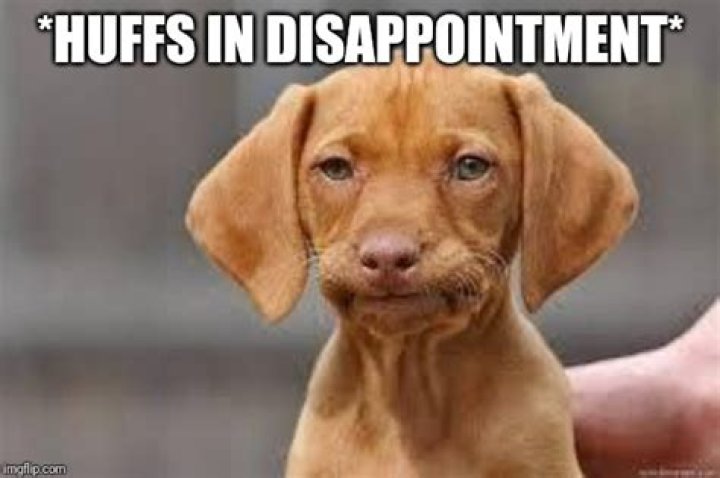 Disappointed Memes