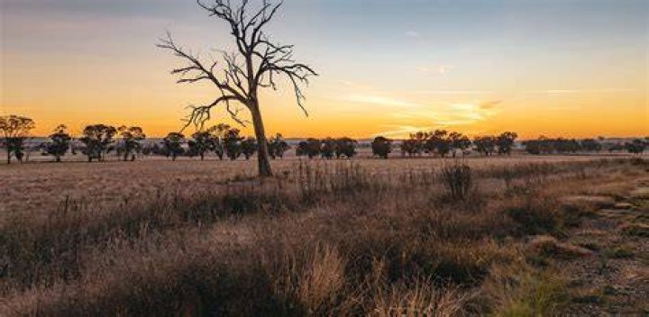Dubbo's Photo