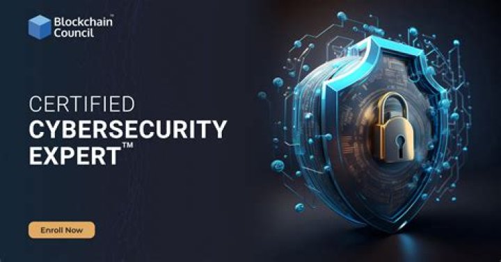 Expert on CBN new cybersecurity levy