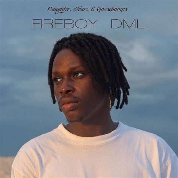 Fireboy Dml's Photo
