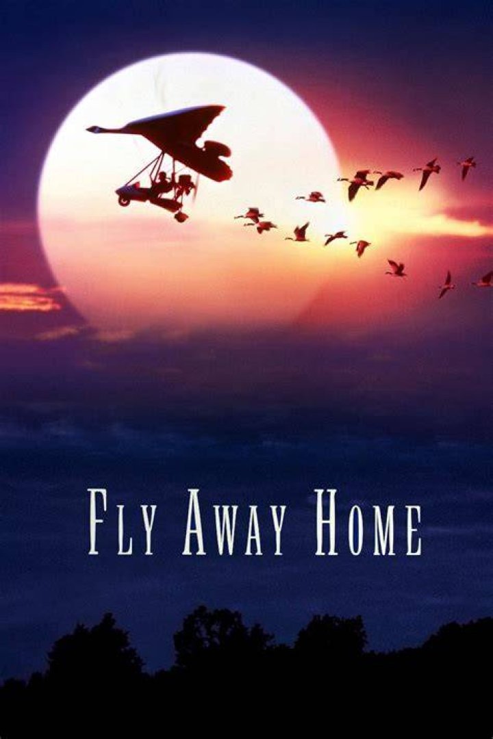 Fly Away 