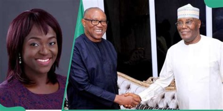 LP chieftain reacts to Peter Obi's meeting with Atiku
