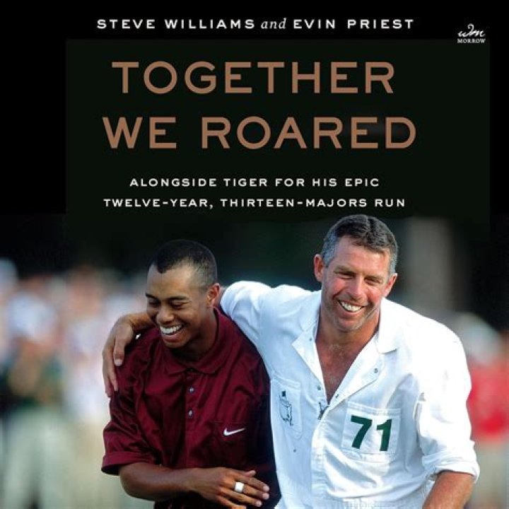 steve williams other partnerships steve williams other partnerships