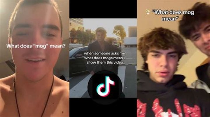 What Does 