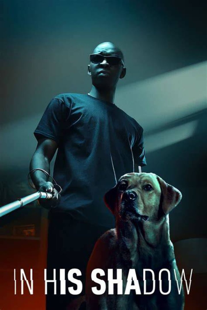 Why Was In His Shadow Actor In Prison?